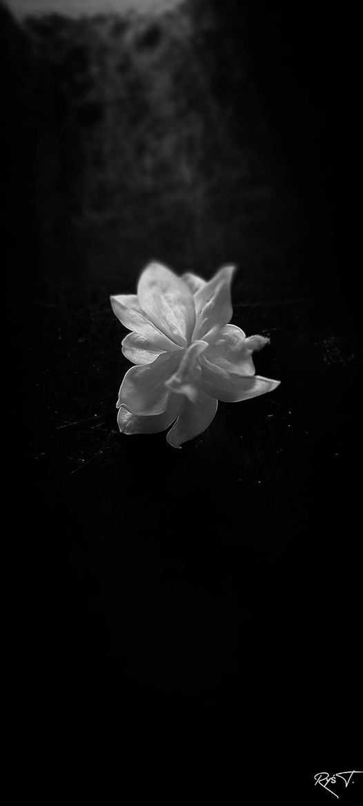 W obiektywie rodzica T. Ryś