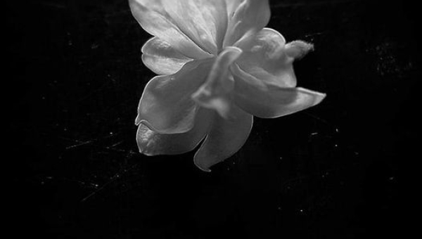 W obiektywie rodzica T. Ryś