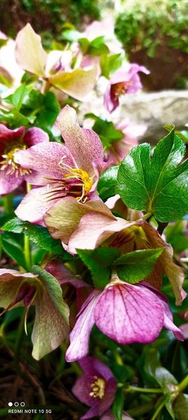 W OBIEKTYWIE RODZICA I WUJKA      pracownia f o t o g r a f i i Fot Danuta Nowak