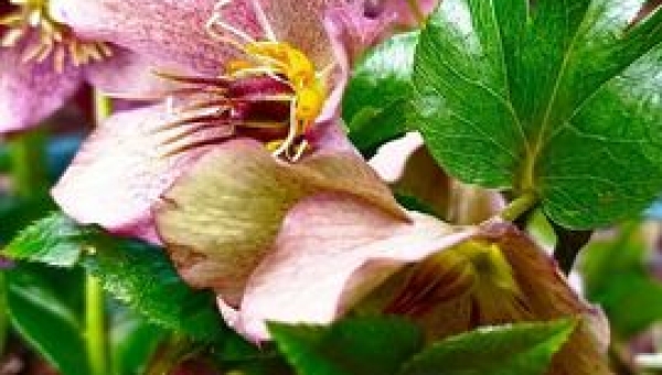 W OBIEKTYWIE RODZICA I WUJKA      pracownia f o t o g r a f i i Fot Danuta Nowak