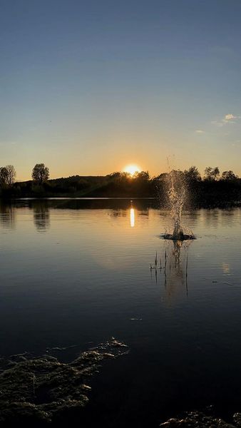 Fotografie mijającego tygodnia