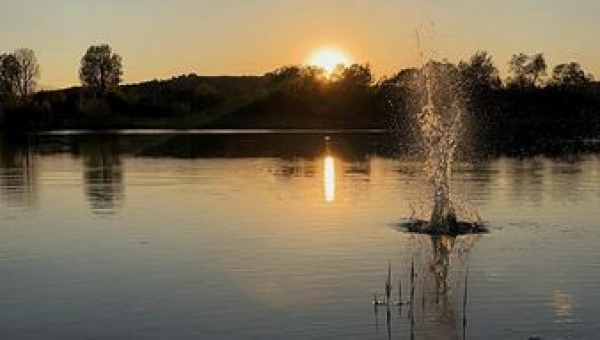Fotografie mijającego tygodnia
