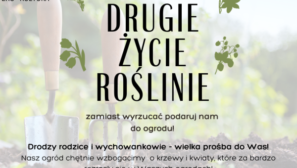 Podaruj drugie życie roślinie