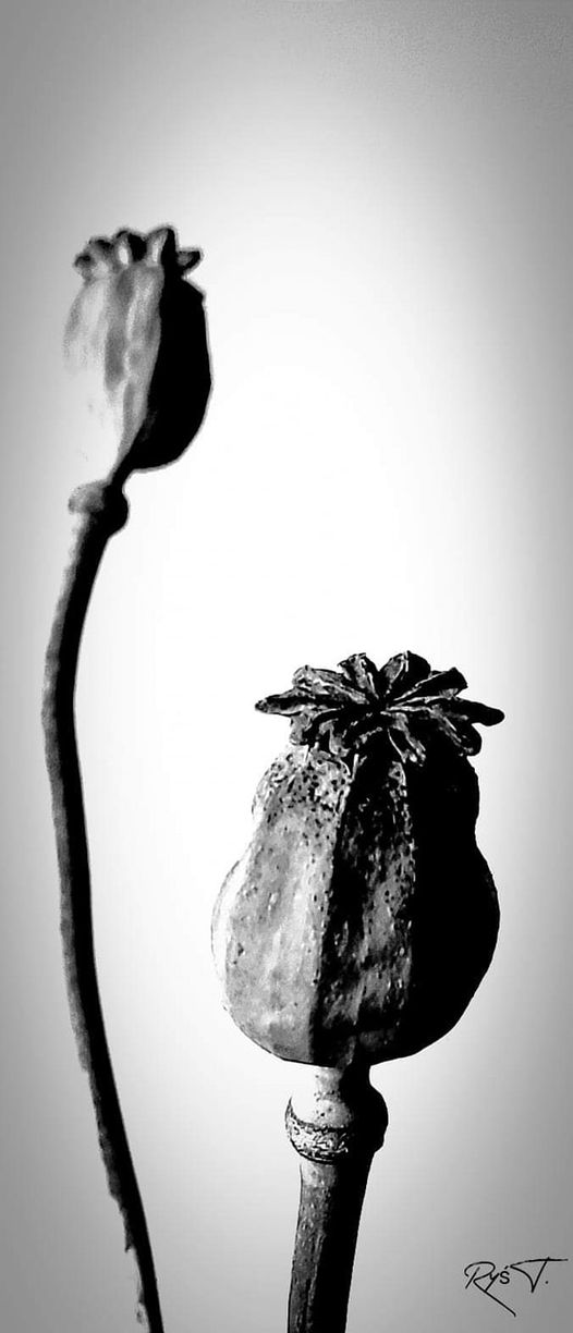 W obiektywie rodzica T. Ryś