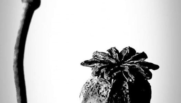 W obiektywie rodzica T. Ryś