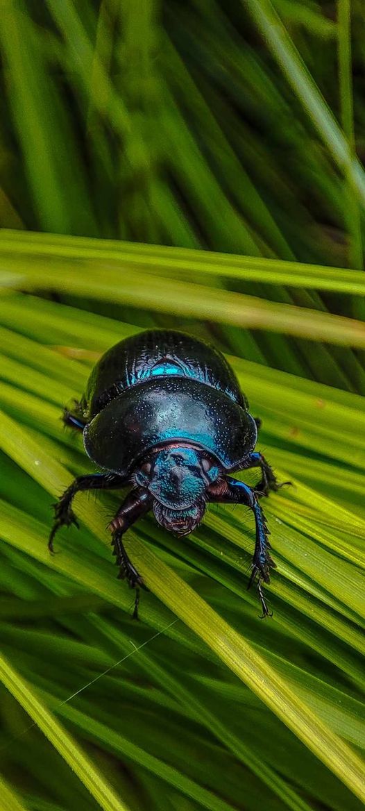 Zdjęcia miesiąca września