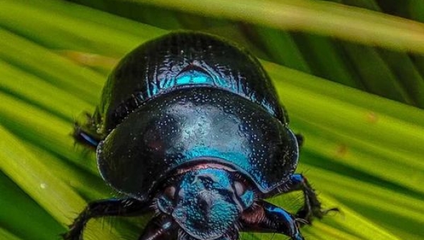 Zdjęcia miesiąca września