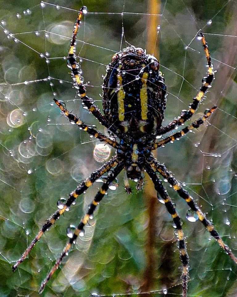 Zdjecie miesiaca edycja WRZESIEŃ