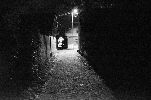 Fotografie mijającego tygodnia