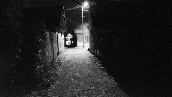 Fotografie mijającego tygodnia