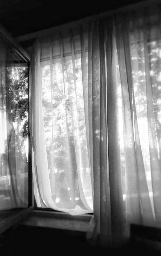 Zdjecie miesiaca edycja PAŹDZIERNIK