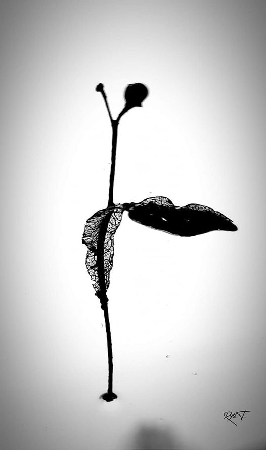 W obiektywie rodzica T. Ryś