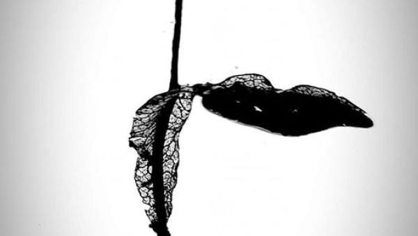 W obiektywie rodzica T. Ryś