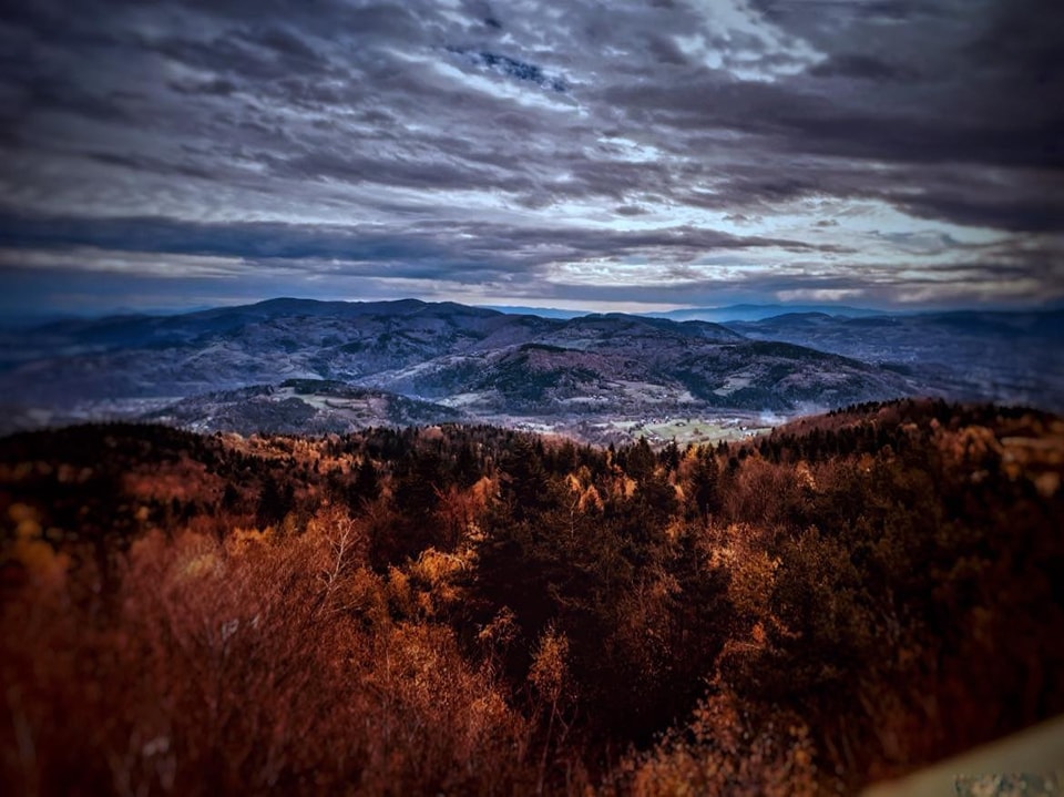 Absolwenci foca, Krzysiek Nowak