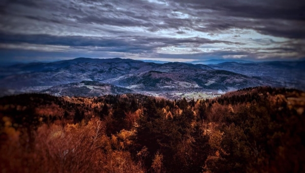 Absolwenci foca, Krzysiek Nowak