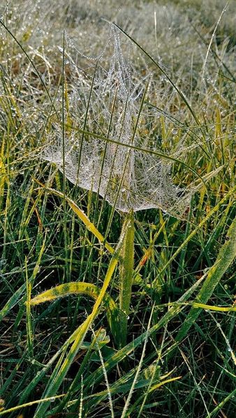 W obiektywie rodzica M. Keder 