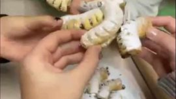 Nasza Bursa zapachniała rogalikami francuskimi