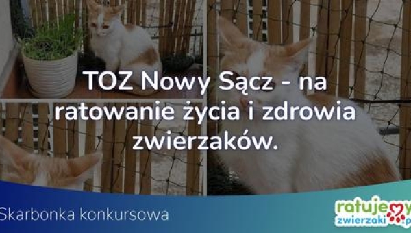 Na ratowanie życia i zdrowia zwierzaków