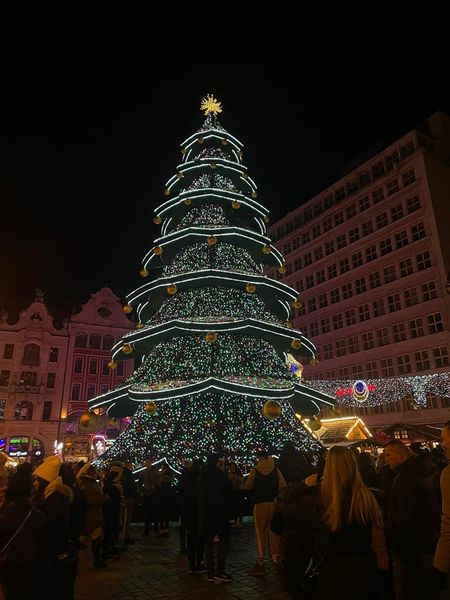 Absolwenci foca, Krzysiek Nowak