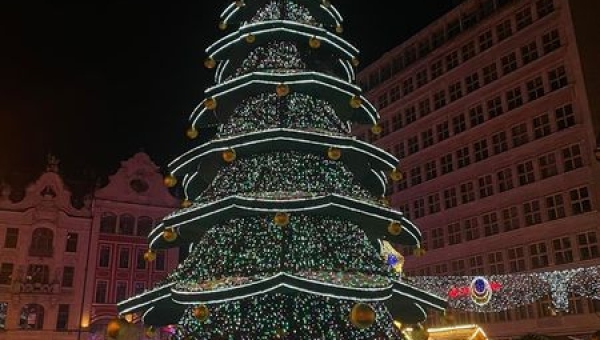 Absolwenci foca, Krzysiek Nowak