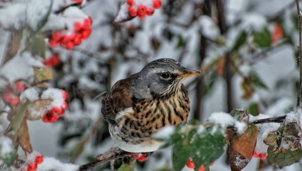 Triumfator konkursu fotograficznego 