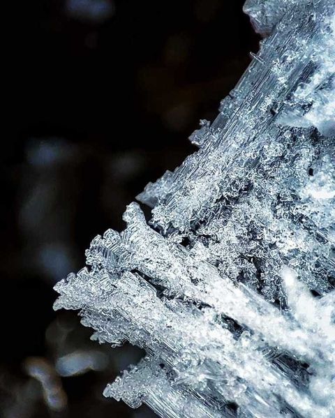 Wyniki edycji styczniowej