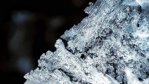 Wyniki edycji styczniowej