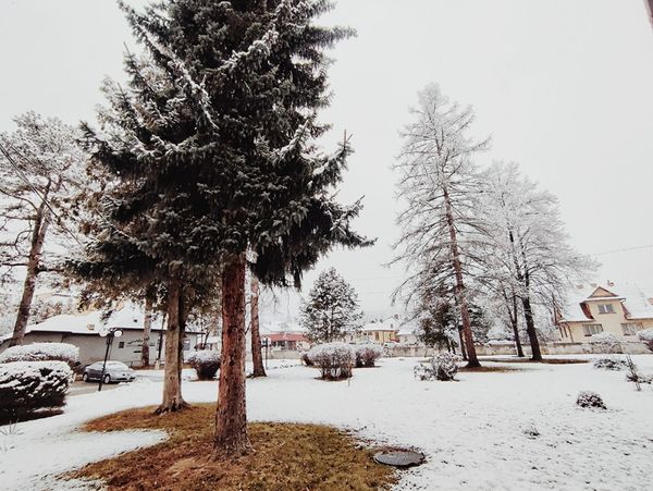 Jeszcze parę dni temu u nas 