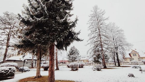 Jeszcze parę dni temu u nas 