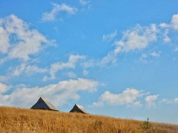 Wyniki konkursu fotograficznego 