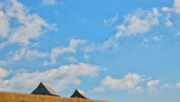 Wyniki konkursu fotograficznego 