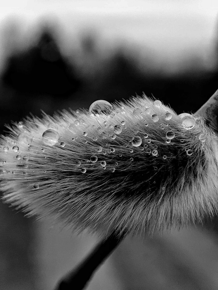 Zdjęcie miesiąca MARCA