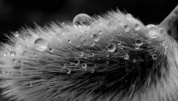 Zdjęcie miesiąca MARCA