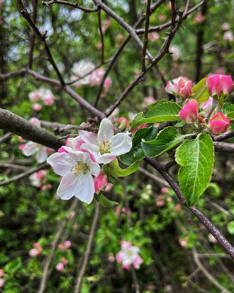 Przeżyjmy to jeszcze raz... 