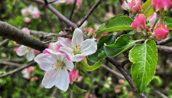 Przeżyjmy to jeszcze raz... 