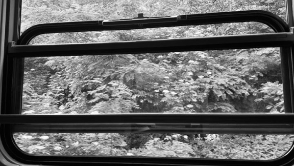 Absolwenci foca, Krzysiek Nowak