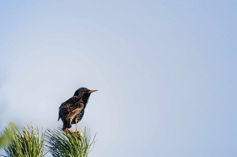 Cwiczenie uwazności w naszych zdjęciach