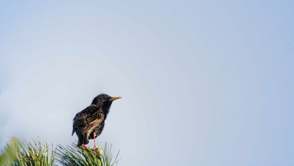 Cwiczenie uwazności w naszych zdjęciach