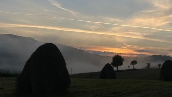 Absolwenci foca, Julka Ryś