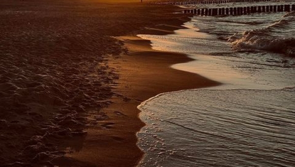 Absolwenci foca, Krzysiek Nowak