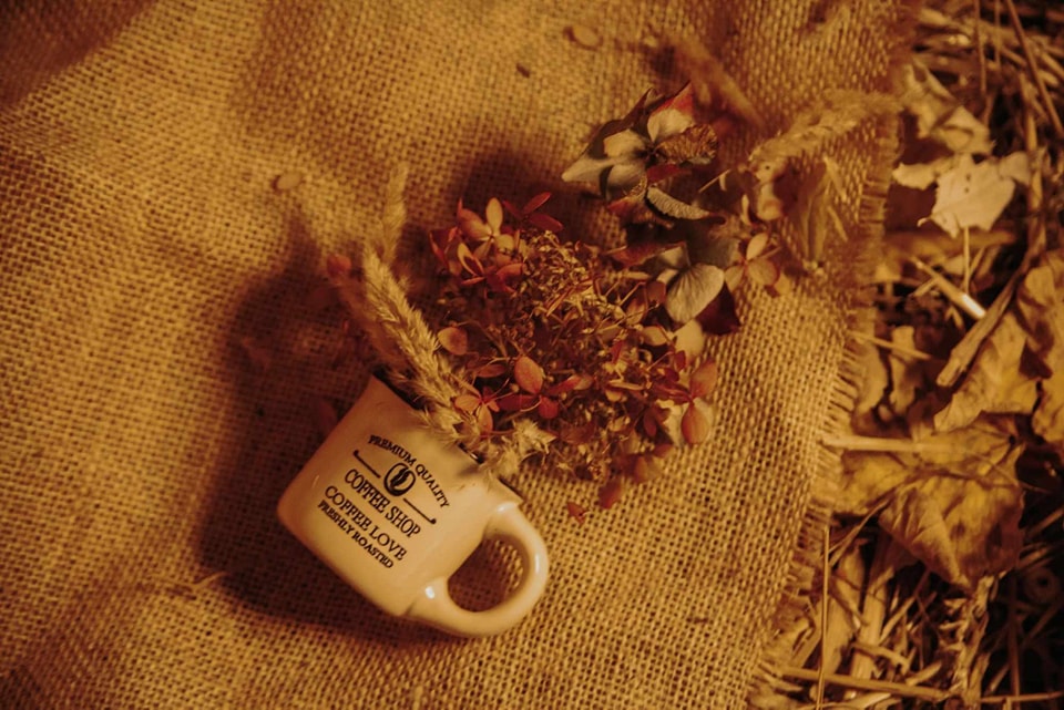 **Efekty jesiennej sesji**