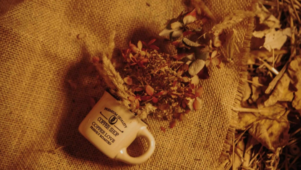 **Efekty jesiennej sesji**