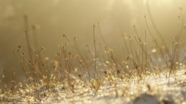 Fot. Micha Majewski 5