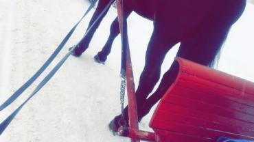 Fot. Klimek Trzebunia