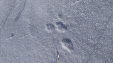 Fot. Dominika Krlczyk 11