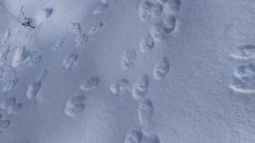 Fot. Dominika Krlczyk 13