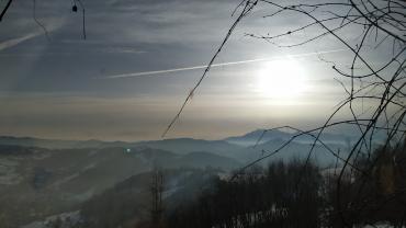 Fot. Dominika Krlczyk 19