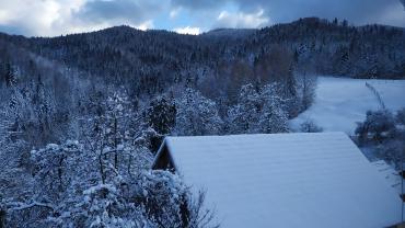 Fot. Dominika Krlczyk 38