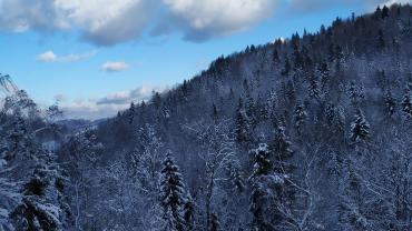 Fot. Dominika Krlczyk 39