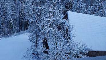 Fot. Dominika Krlczyk 40